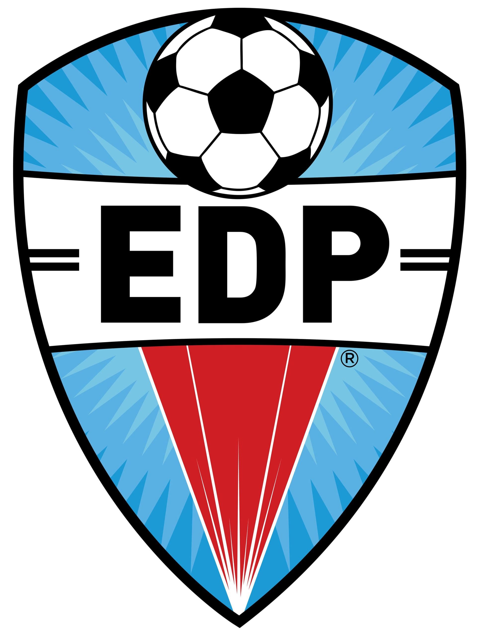 EDP Logo